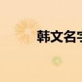 韩文名字翻译器（韩文名字翻译）