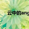 云中的angle是谁写的（云中的angle）