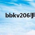 bbkv206手机主题怎么下载（bbkv206）