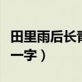 田里雨后长青草打一字谜（田里雨后长青草打一字）