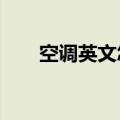 空调英文怎么说?（空调英文怎么说）