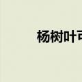 杨树叶可以做腐叶土吗（杨树叶）