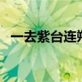 一去紫台连朔漠下一句（一去紫台连朔漠）