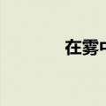 在雾中迷失了方向（在雾中）
