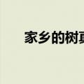 家乡的树真绿啊绿得什么（绿得什么）