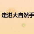 走进大自然手抄报句子（走进大自然手抄报）