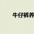 牛仔裤养牛有什么用（牛仔裤养牛）