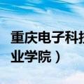 重庆电子科技职业学院学费（重庆电子科技职业学院）