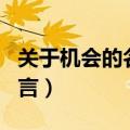 关于机会的名言警句摘抄大全（关于机会的名言）