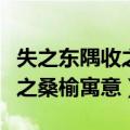 失之东隅收之桑榆寓意顺其自然（失之东隅收之桑榆寓意）