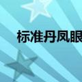 标准丹凤眼图片大全（标准丹凤眼图片）