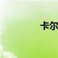 卡尔警犬电影（警犬电影）
