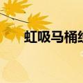 虹吸马桶经常堵（虹吸式马桶总是堵）