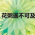 花粥遥不可及的你歌词（遥不可及的你歌词）