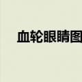 血轮眼睛图片（血轮眼和写轮眼的区别）