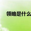 领略是什么意思解释（领略是什么意思）