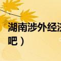 湖南涉外经济学院院系（湖南涉外经济学院贴吧）