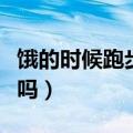 饿的时候跑步减肥效果好吗（跑步减肥效果好吗）