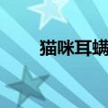 猫咪耳螨怎么彻底清除（猫咪耳螨）