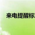 来电提醒标准版(3元)（来电提醒标准版）