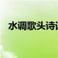 水调歌头诗词鉴赏800字（水调歌头诗词）