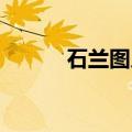 石兰图片 秦时明月（石兰图片）