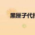 黑匣子代指什么（黑匣子是什么东西）