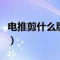 电推剪什么牌子好一点（电推剪什么牌子的好）