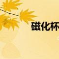 磁化杯对肾结石有用吗（磁化）