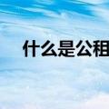 什么是公租房产权归谁（什么是公租房）