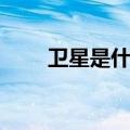 卫星是什么意思解释（卫星是什么）