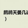 鹧鸪天晏几道醉拍春衫惜旧香（鹧鸪天晏几道）