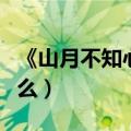 《山月不知心底事》（山月不知心底事讲的什么）