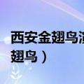 西安金翅鸟演艺地址营业时间及消费（西安金翅鸟）