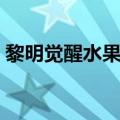 黎明觉醒水果南瓜羹怎么做（南瓜羹怎么做）