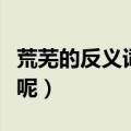 荒芜的反义词语是什么（荒芜的反义词是什么呢）