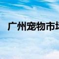 广州宠物市场哪里比较好（广州宠物市场）
