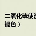 二氧化硫使溴水褪色的原因（二氧化硫使溴水褪色）