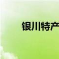 银川特产有哪些可以带（银川特产）