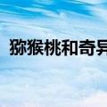 猕猴桃和奇异果的区别?（猕猴桃和奇异果）