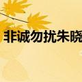 非诚勿扰朱晓牵手哪期（非诚勿扰朱晓牵手）