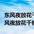 东风夜放花千树更吹落星如雨是什么节日（东风夜放花千树）