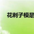 花刺子模是现在哪里（花刺代理怎么用）