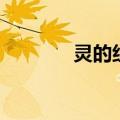 灵的组词二年级（灵的组词）