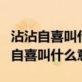 沾沾自喜叫什么意?心情爽快叫什么意?（沾沾自喜叫什么意）