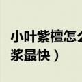 小叶紫檀怎么把玩包浆好看（小叶紫檀怎么包浆最快）
