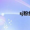sj粉丝是什么意思（sj粉丝）
