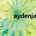 aydenjames数据（aydenjames）