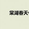 棠湖春天v客二手房房价（棠湖春天）