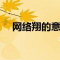 网络翔的意思是什么（翔的意思是什么）